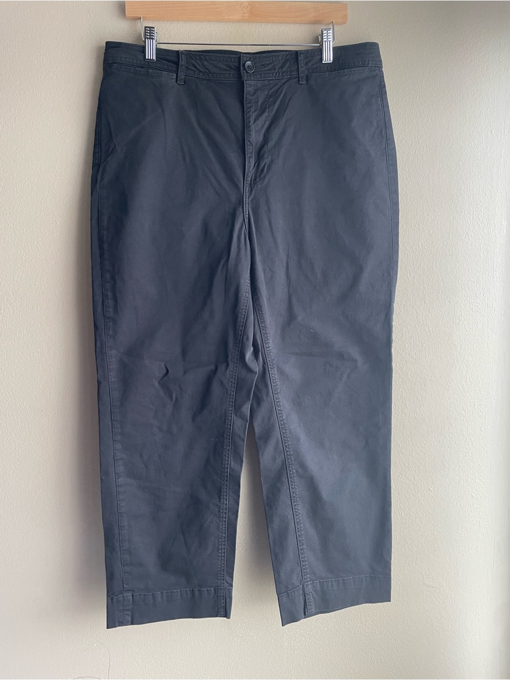 Everlane Women Colombo Sri Lanka Casual Chino Pants Size 14